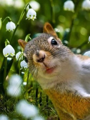 Flowers That Squirrels Won't Eat: A Curious Exploration of Nature's Unlikely Alliances