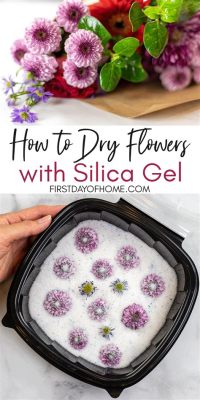 How Long to Leave Flowers in Silica Gel: A Comprehensive Guide to Preserving Nature's Beauty