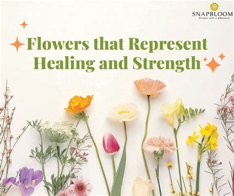 What Flowers Symbolize Strength: A Deep Dive into Floral Meanings and Their Connection to Resilience