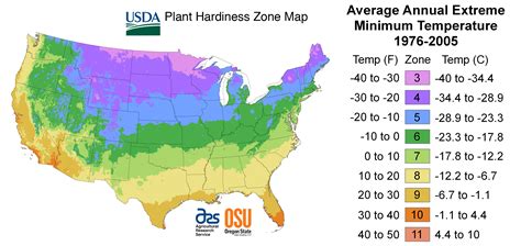 What Gardening Zone is Seattle? Exploring the Green Thumb's Paradise